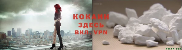 винт Богородицк
