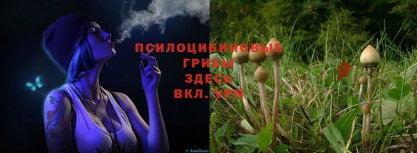 кокаин премиум Богородск