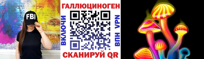 где купить наркоту  Красный Кут  Псилоцибиновые грибы Psilocybine cubensis 